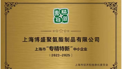 公司营收突破8000万，被上海市经济和信息化委员会评定为“专精特新”中小企业，公司制定和实施“两化一增长”的第一个五年计划。